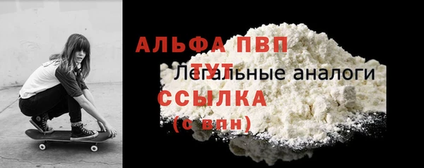 стаф Арсеньев