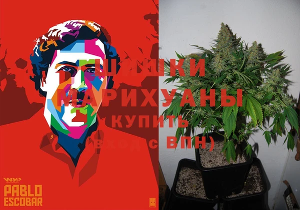винт Армянск