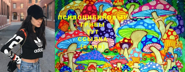 винт Армянск