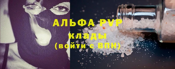 стаф Арсеньев