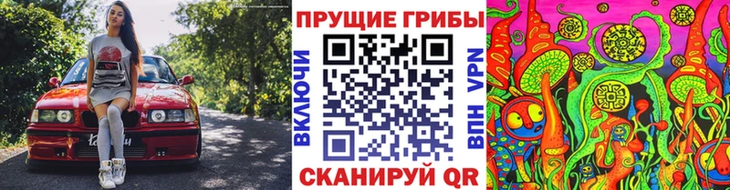 купить наркотик  Феодосия  blacksprut ссылки  Галлюциногенные грибы Magic Shrooms 